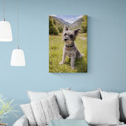 Schnauzer On The Grass