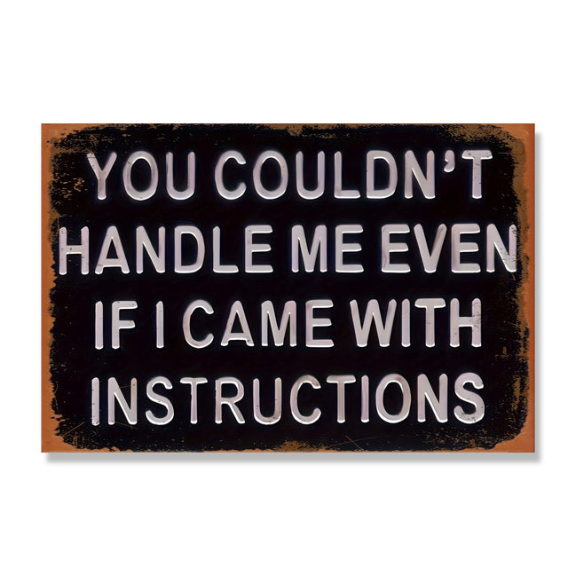You Couldn't Handle Me Even If I Came With Instructions