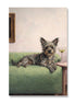 Martini Dog