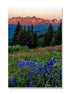 Meadow Beneath The Peaks
