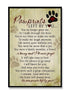 The Pawprints You Left Behind