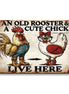 An Old Rooster And A Cute Chick Live Here