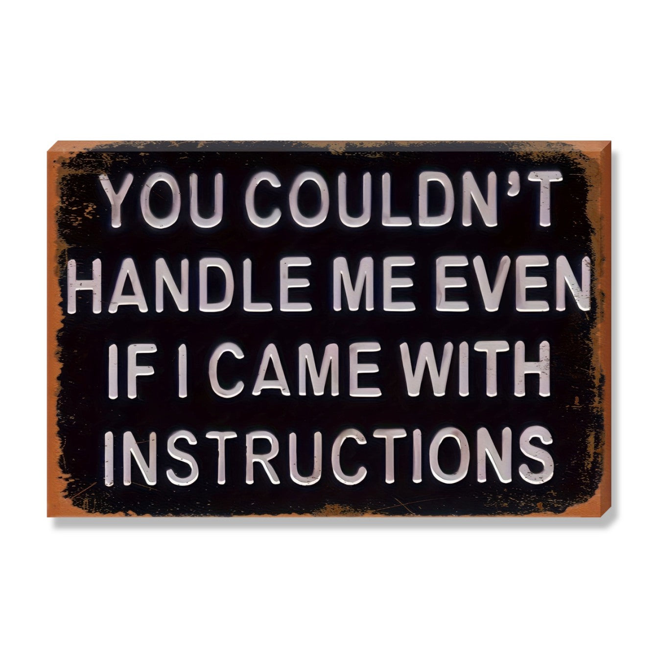 You Couldn't Handle Me Even If I Came With Instructions