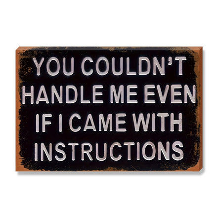 You Couldn't Handle Me Even If I Came With Instructions