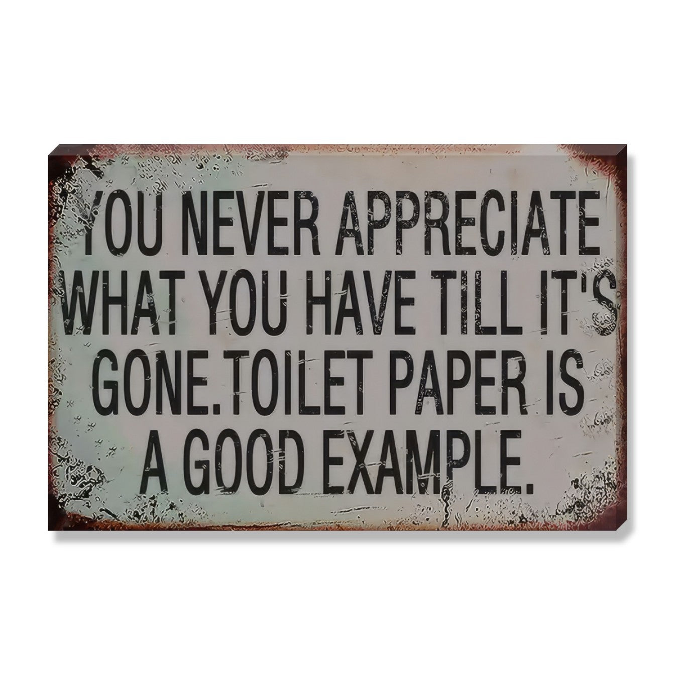 You Never Appreciate What You Have Till It's Gone - Toilet Paper Is A Good Example