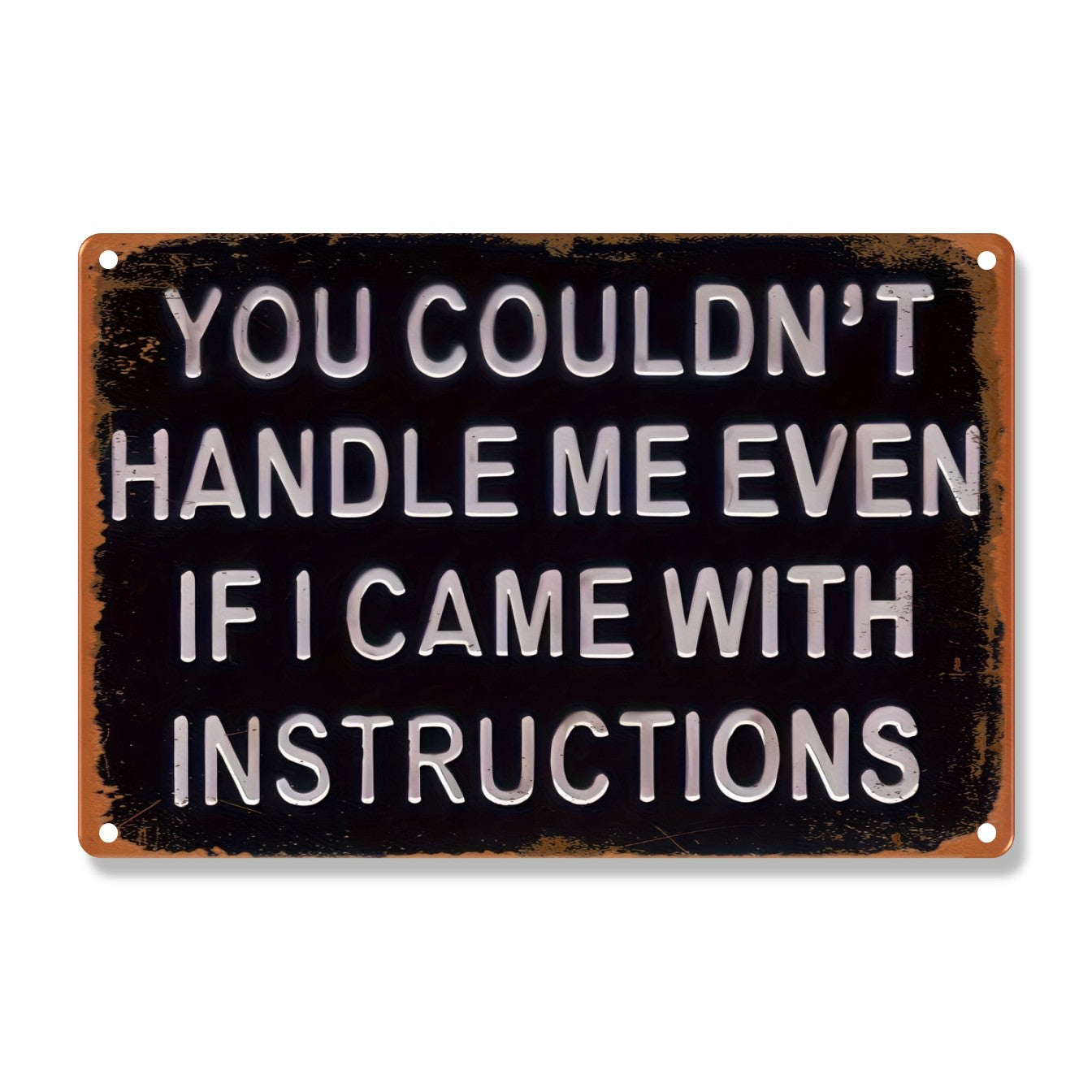 You Couldn't Handle Me Even If I Came With Instructions