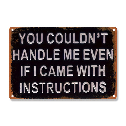 You Couldn't Handle Me Even If I Came With Instructions