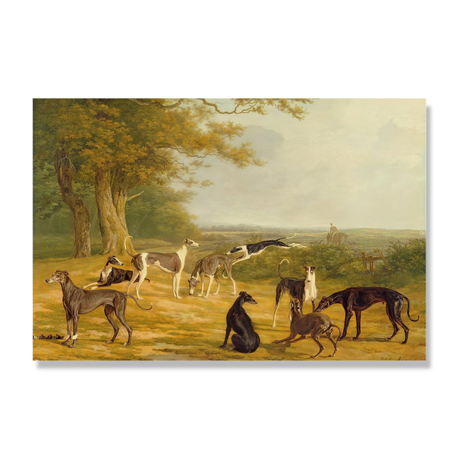 Gathering Of Hounds