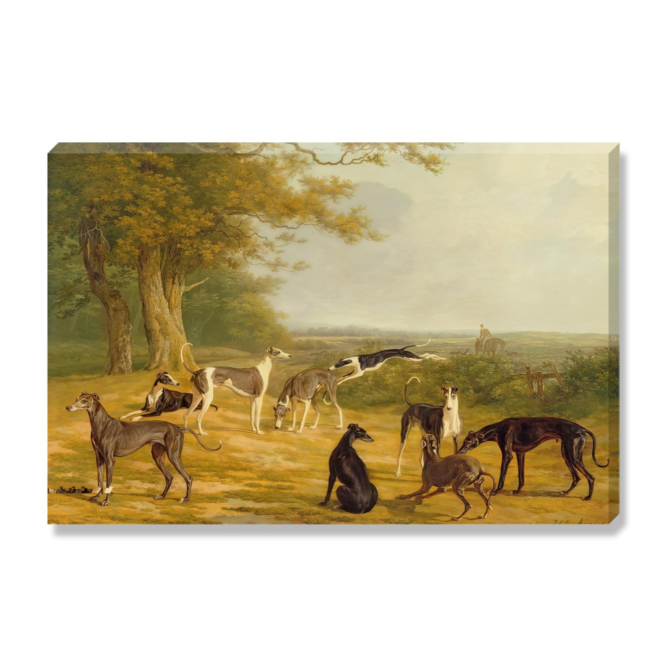Gathering Of Hounds