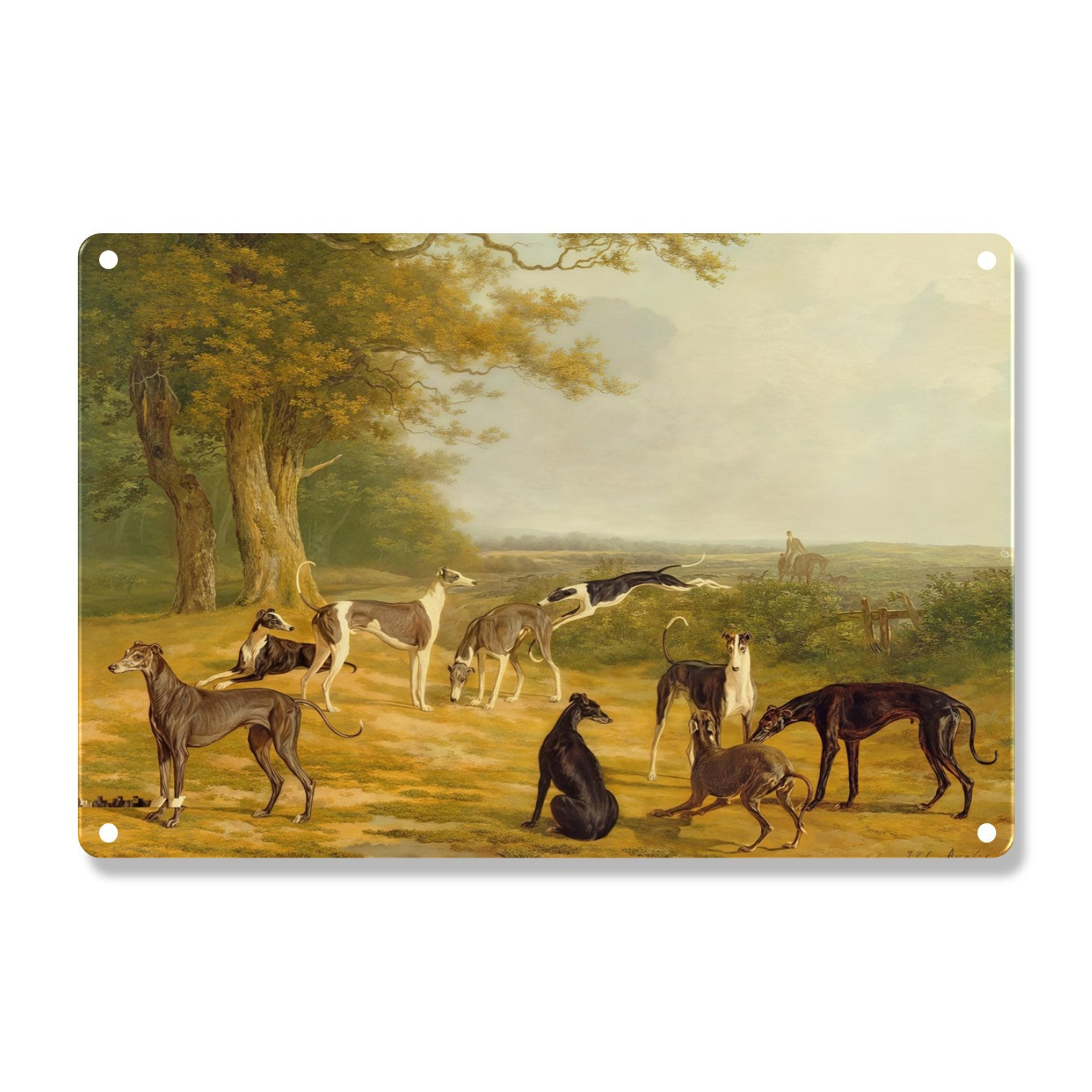Gathering Of Hounds
