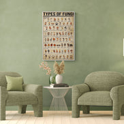 Types of Fungi