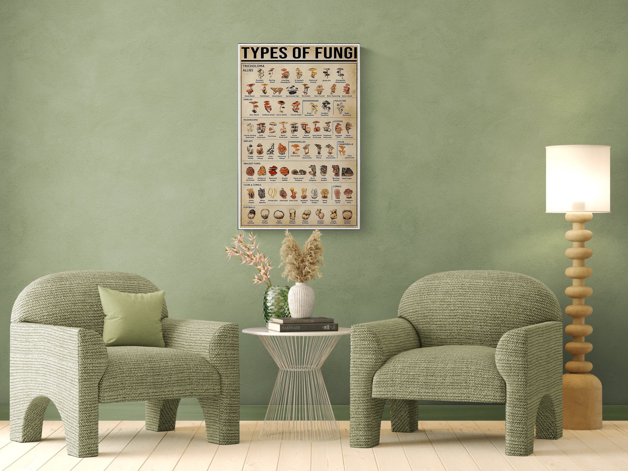 Types of Fungi